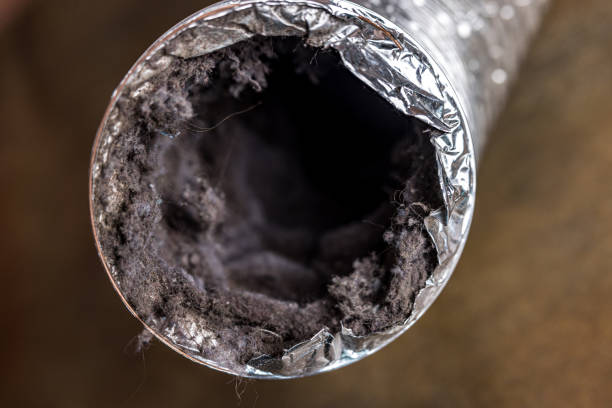 Best Home Air Vent Cleaning  in Melvindale, MI