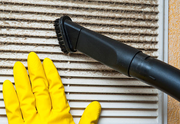 Best Professional Duct Cleaning Services  in Melvindale, MI